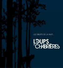 Affiche les bruits de la nuit